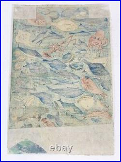 Shinban Fish Collection Ukiyo-E 34.3 22.8 Nishiki-E Woodblock Print
