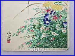 Shinpyo Katsuta Japanese Woodblock Print Autumn Flowers #2