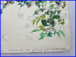 Shinpyo Katsuta Japanese Woodblock Print Camelia and Snow