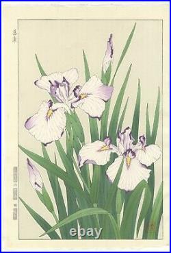Shodo Kawarazaki, Iris, Flower, Botanical, Original Japanese Woodblock Print