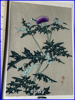 Shodo Kawarazaki Japanese Woodblock Print Thistle Botanical Unsodo c1950s
