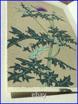 Shodo Kawarazaki Japanese Woodblock Print Thistle Botanical Unsodo c1950s