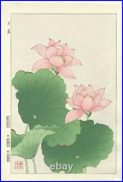 Shodo Kawarazaki, Pink Lotus, Botanical, Art, Original Japanese Woodblock Print