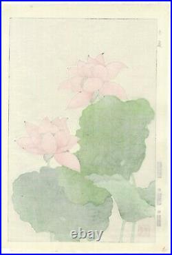 Shodo Kawarazaki, Pink Lotus, Botanical, Art, Original Japanese Woodblock Print