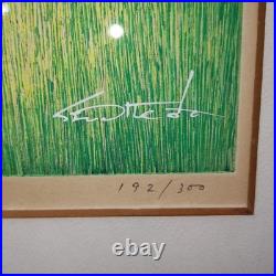 Shuzo Ikeda Katakuri Woodblock Print Signed Framed Art Wall Hanging Japan