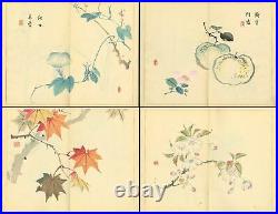 Tansei Ippan by Taki Katei 5vols Full Japan vintage Woodblock Print Book