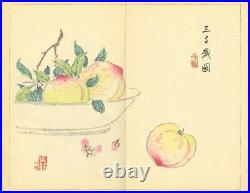 Tansei Ippan by Taki Katei 5vols Full Japan vintage Woodblock Print Book