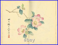 Tansei Ippan by Taki Katei 5vols Full Japan vintage Woodblock Print Book