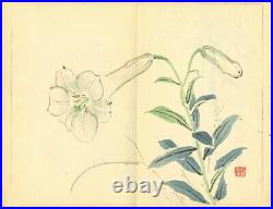 Tansei Ippan by Taki Katei 5vols Full Japan vintage Woodblock Print Book