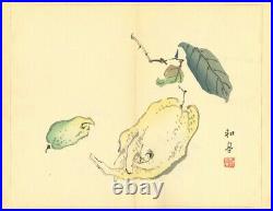 Tansei Ippan by Taki Katei 5vols Full Japan vintage Woodblock Print Book