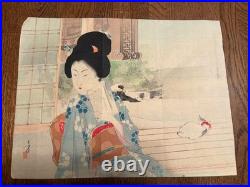 Toshikata Mizuno, woodblock frontispiece, blind beauty, cat, verandah