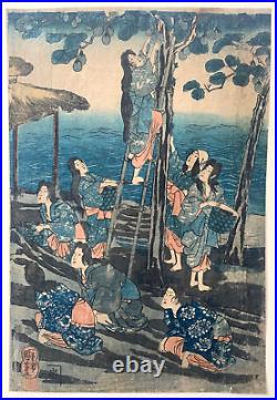UTAGAWA KUNIYOSHI Circa 1850 Japanese Woodblock Tametomo Women Picking Fruit