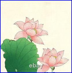 Ukiyo-e Japanese Woodblock Print Kawarazaki Shodo Lotus 36.0cmx24.0cm Japan JP