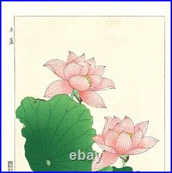 Ukiyo-e Japanese Woodblock Print Kawarazaki Shodo Lotus 36.0cmx24.0cm Japan JP