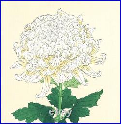 Ukiyo-e Japanese Woodblock Print Shodo Kawarazaki Chrysanthemum (shira-giku)
