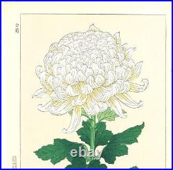 Ukiyo-e Japanese Woodblock Print Shodo Kawarazaki Chrysanthemum (shira-giku)