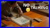 Unintentional_Asmr_Traditional_Japanese_Printmaking_No_Talking_01_zuzk