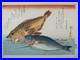 Utagawa_Hiroshige_Woodblock_Print_Fish_Series_Kasago_Isaki_with_Ginger_01_qk