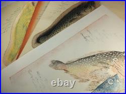 Utagawa Hiroshige Woodblock Print Fish Series Kasago & Isaki with Ginger