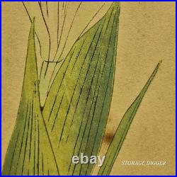 VTG Original Japanese Woodblock Print Iris, Framed 15.75 x 20.5, Under Glass