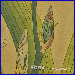 VTG Original Japanese Woodblock Print Iris, Framed 15.75 x 20.5, Under Glass