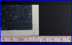 Vintage Hokusai The 36 Views of Mount Fuji 46 woodblock print complete Set