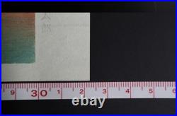 Vintage Hokusai The 36 Views of Mount Fuji 46 woodblock print complete Set