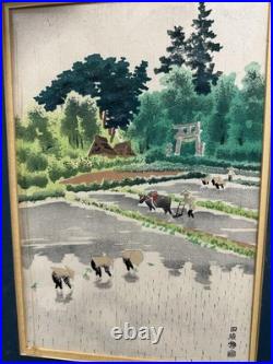 Vintage Japanese Rice Field Woodblock Print Green Landscape Framed Signed Large