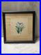 Vintage_Japanese_Woodblock_Floral_Print_Signed_Dated_1955_Framed_01_bhiy