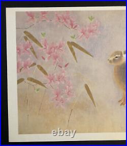 Vintage Japanese Woodblock Print Matsu Or Shoko Uemura Rabbit 14 3/8 X 10 1/8 in