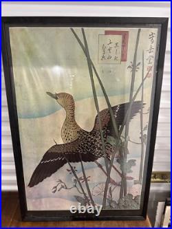 Vintage Nakayama Sugakudo Japanese Woodblock Print Greater Snipe Reeds & Ipomoea