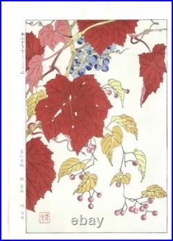 Wild Grapes Flower Showa Shodo Kawarazaki Japanese Woodblock Print Ukiyo-e