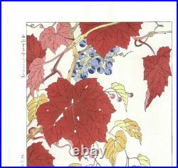 Wild Grapes Flower Showa Shodo Kawarazaki Japanese Woodblock Print Ukiyo-e