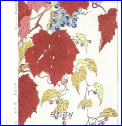 Wild Grapes Flower Showa Shodo Kawarazaki Japanese Woodblock Print Ukiyo-e