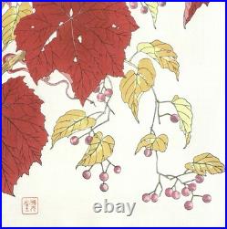 Wild Grapes Flower Showa Shodo Kawarazaki Japanese Woodblock Print Ukiyo-e