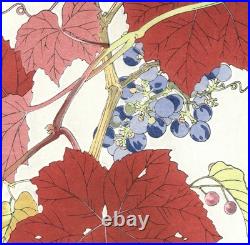 Wild Grapes Flower Showa Shodo Kawarazaki Japanese Woodblock Print Ukiyo-e