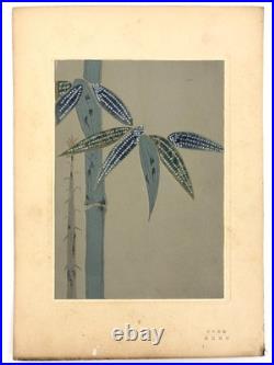 Woodblock Print Book x9 sheets Seishuen vol. 6 Ueno Tameji Collection Unsodo