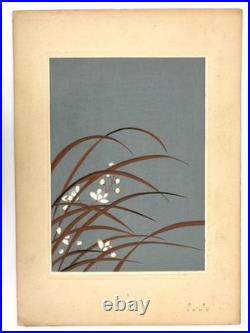 Woodblock Print Book x9 sheets Seishuen vol. 6 Ueno Tameji Collection Unsodo