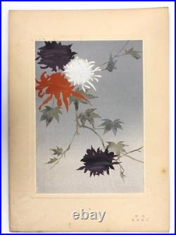 Woodblock Print Book x9 sheets Seishuen vol. 6 Ueno Tameji Collection Unsodo