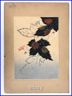 Woodblock Print Book x9 sheets Seishuen vol. 6 Ueno Tameji Collection Unsodo