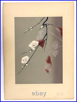 Woodblock Print Book x9 sheets Seishuen vol. 6 Ueno Tameji Collection Unsodo
