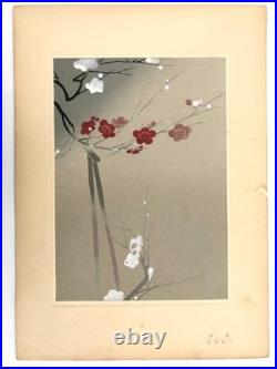Woodblock Print Book x9 sheets Seishuen vol. 6 Ueno Tameji Collection Unsodo