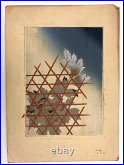 Woodblock Print Book x9 sheets Seishuen vol. 6 Ueno Tameji Collection Unsodo