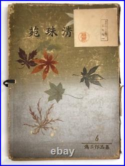 Woodblock Print Book x9 sheets Seishuen vol. 6 Ueno Tameji Collection Unsodo