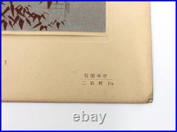 Woodblock Print Book x9 sheets Seishuen vol. 6 Ueno Tameji Collection Unsodo