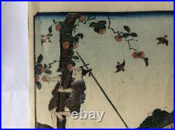 Y4628 WOODBLOCK PRINT Hirokage Edo famous place Japan Ukiyoe art antique