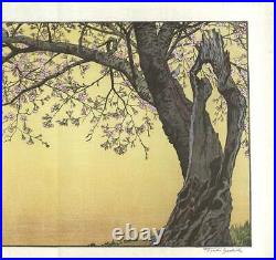 Yoshida Toshi Vintage Woodblock Print Cherry Blossoms